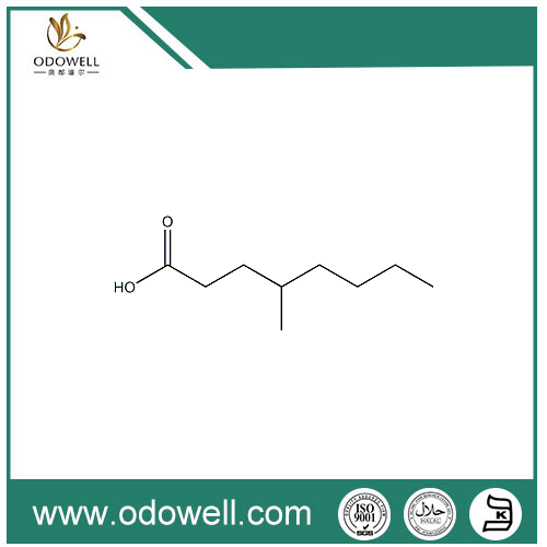 4-methyloctansyre