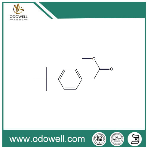 Methyl-P-tert-butylphenylacetat