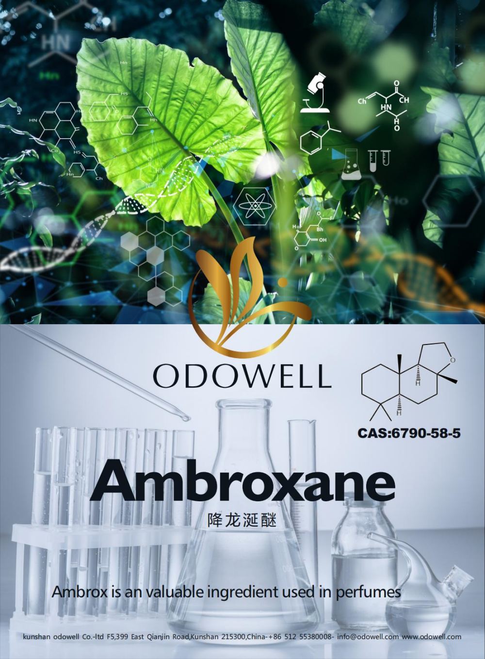 Odowell fejrer et vellykket år for Ambroxane (Ambrox)