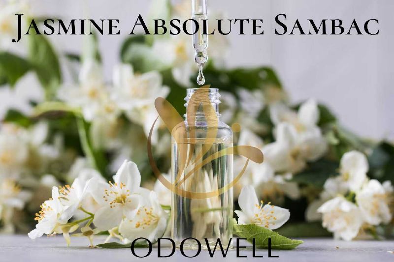 ODOWELL lancerer Jasmine Absolute Sambac - En Premium Natural Jasmine Absolute til parfume og skønhed