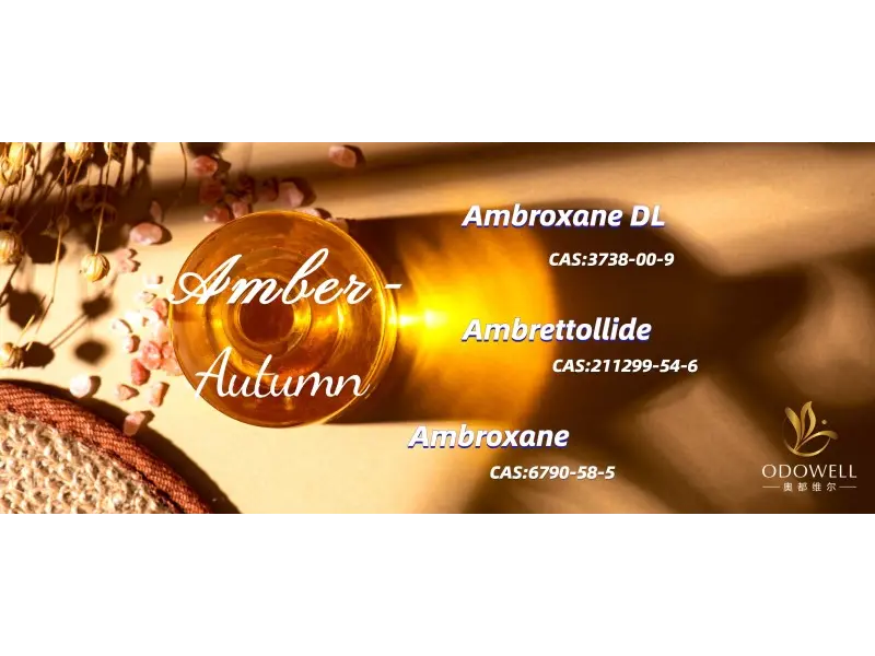 Hvad er de bedste kønsneutrale dufte i 2025