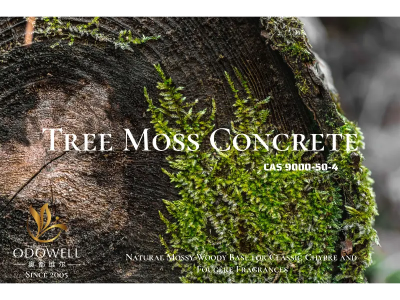 Tree Moss Concrete – ODOWELLs naturlige mossy-træagtige base til klassiske Chypre og Fougère dufte
