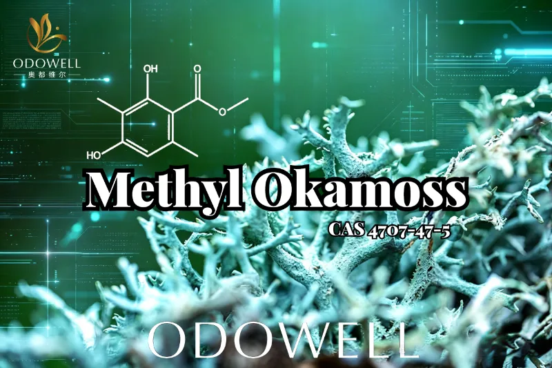ODOWELL introducerer Methyl Okamoss: Autentisk syntetisk egemos til Chypre og Fougère Mastery