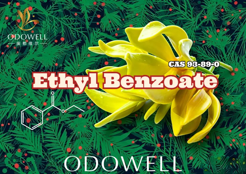 ODOWELL lancerer Ethyl Benzoate: Warm Wintergreen-Ylang Ester for blomster- og orientalsk elegance